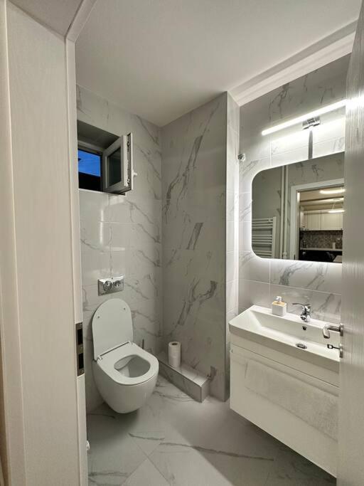 Ultracentral Luxury Apartament Timișoara Zewnętrze zdjęcie