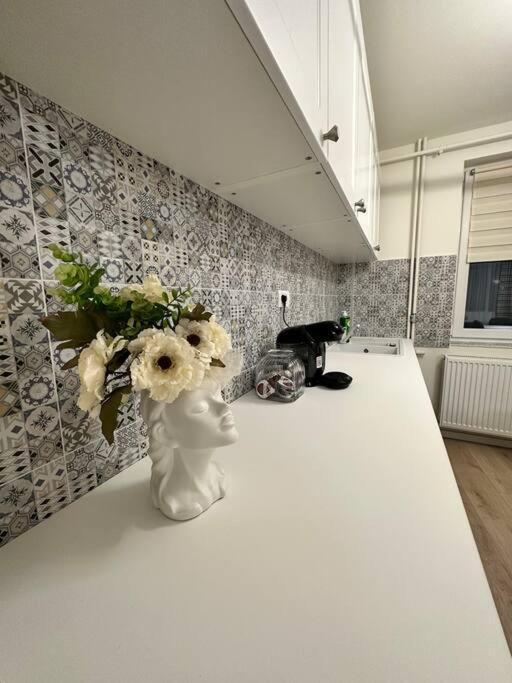 Ultracentral Luxury Apartament Timișoara Zewnętrze zdjęcie